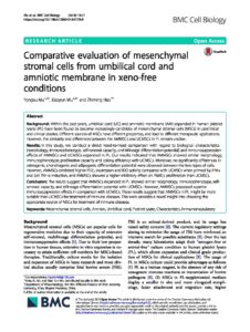 Comparative evaluation of mesenchymal stem cells from umbilical cord ...